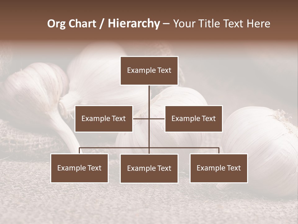 Healthy Bulb Bag PowerPoint Template