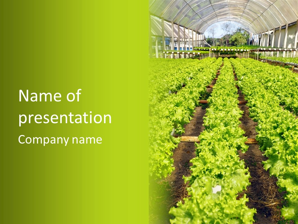 Organic Greenhouse Nature PowerPoint Template