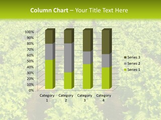 Organic Greenhouse Nature PowerPoint Template