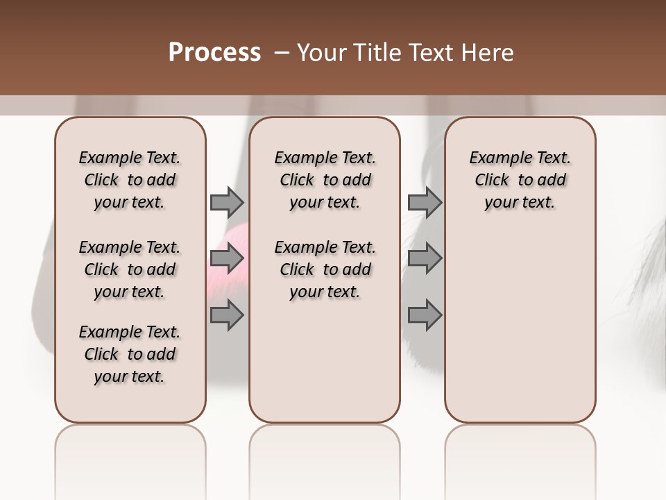 A Group Of Makeup Brushes On A White Surface PowerPoint Template