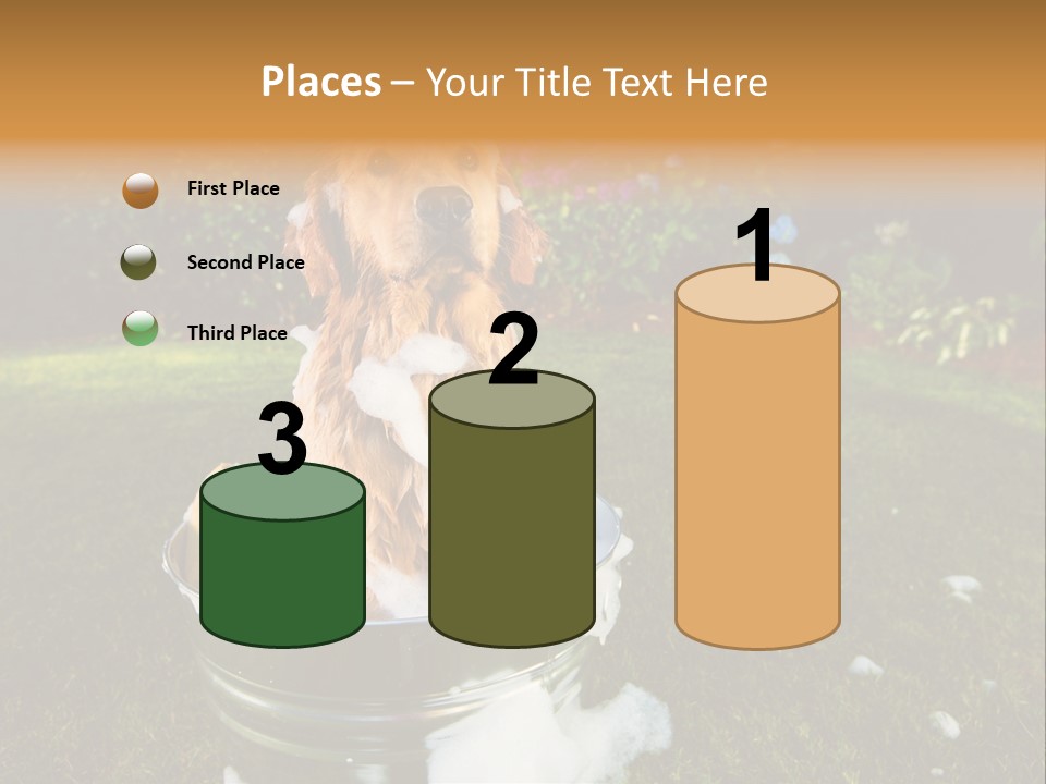 Metal Shower Bucket PowerPoint Template