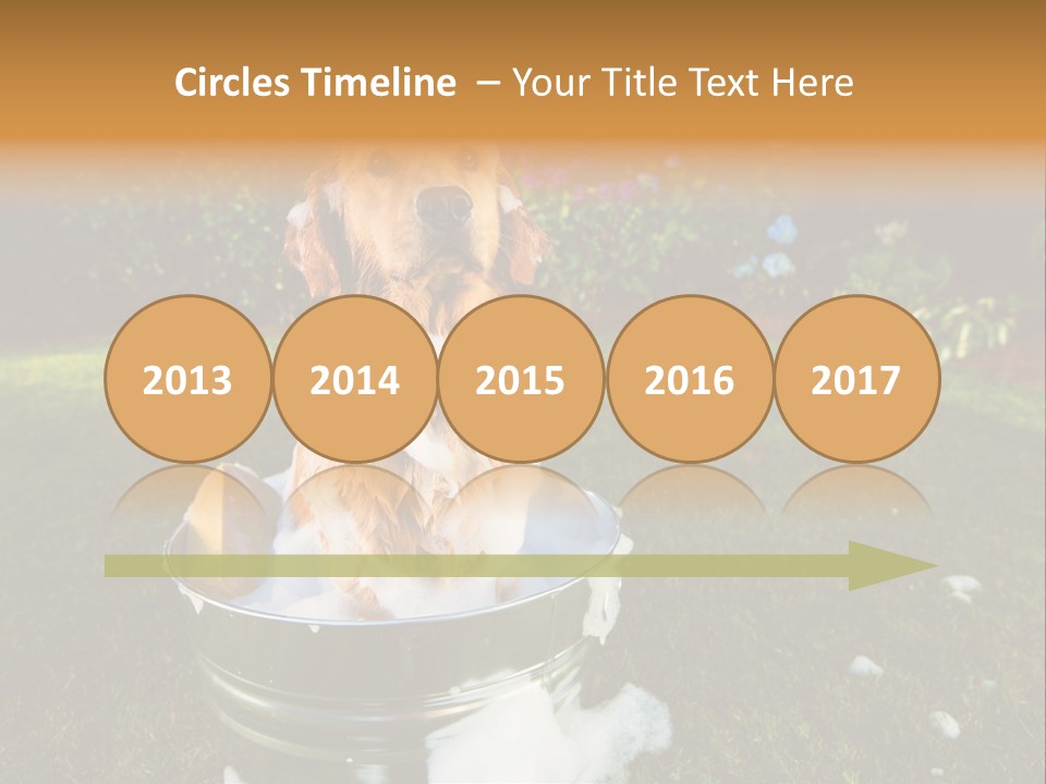 Metal Shower Bucket PowerPoint Template