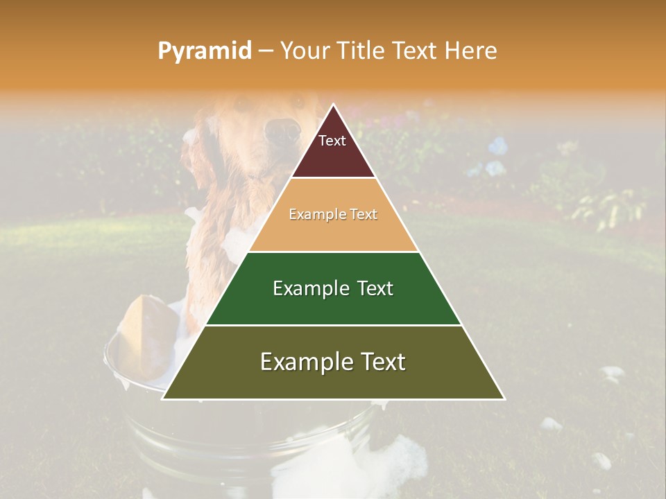 Metal Shower Bucket PowerPoint Template