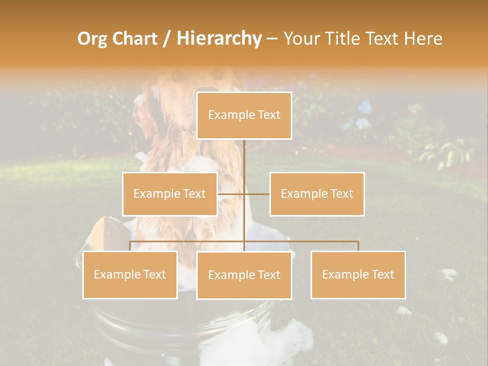 Metal Shower Bucket PowerPoint Template