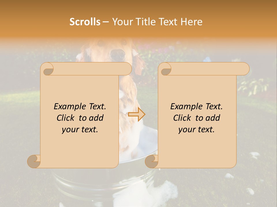 Metal Shower Bucket PowerPoint Template