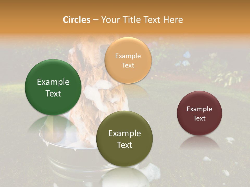 Metal Shower Bucket PowerPoint Template