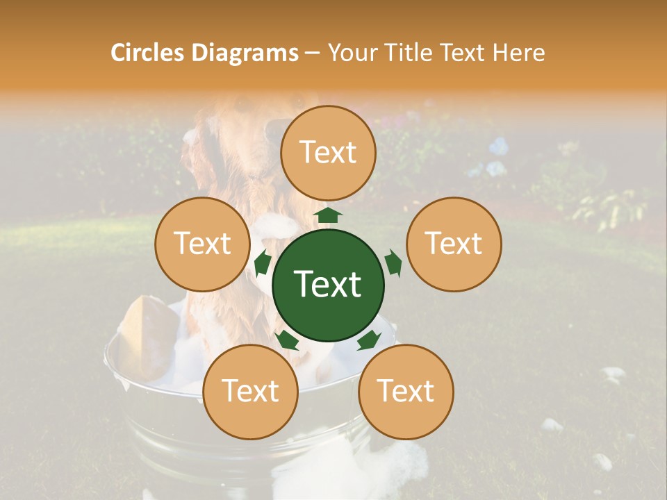 Metal Shower Bucket PowerPoint Template