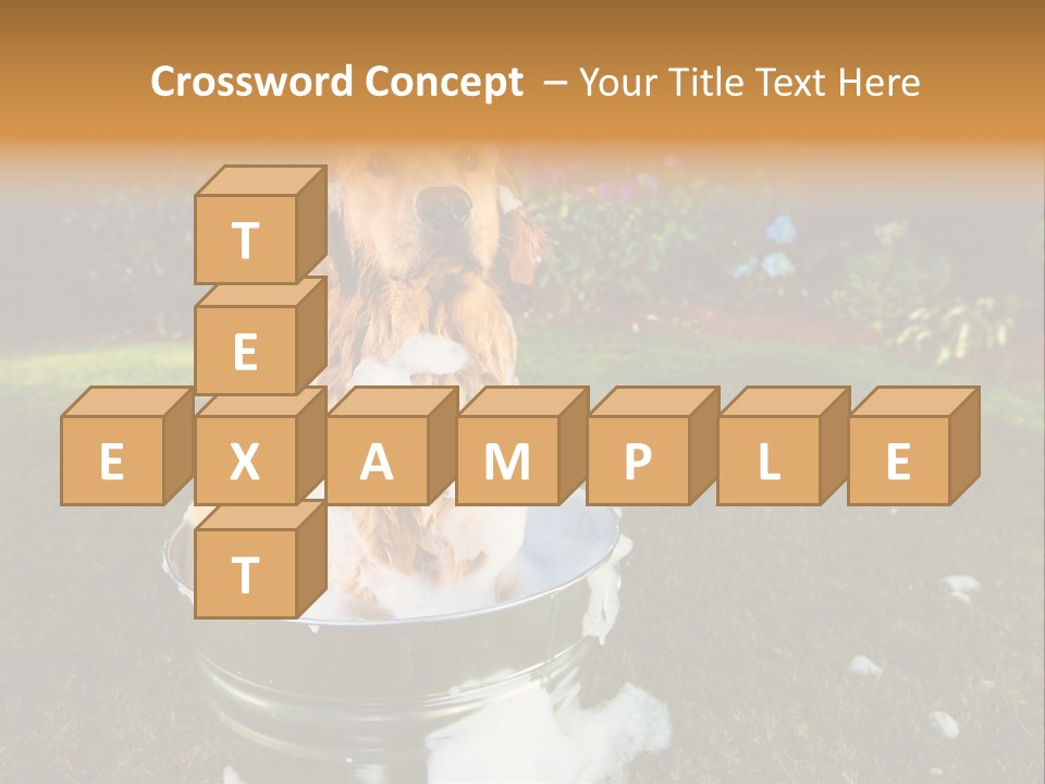 Metal Shower Bucket PowerPoint Template