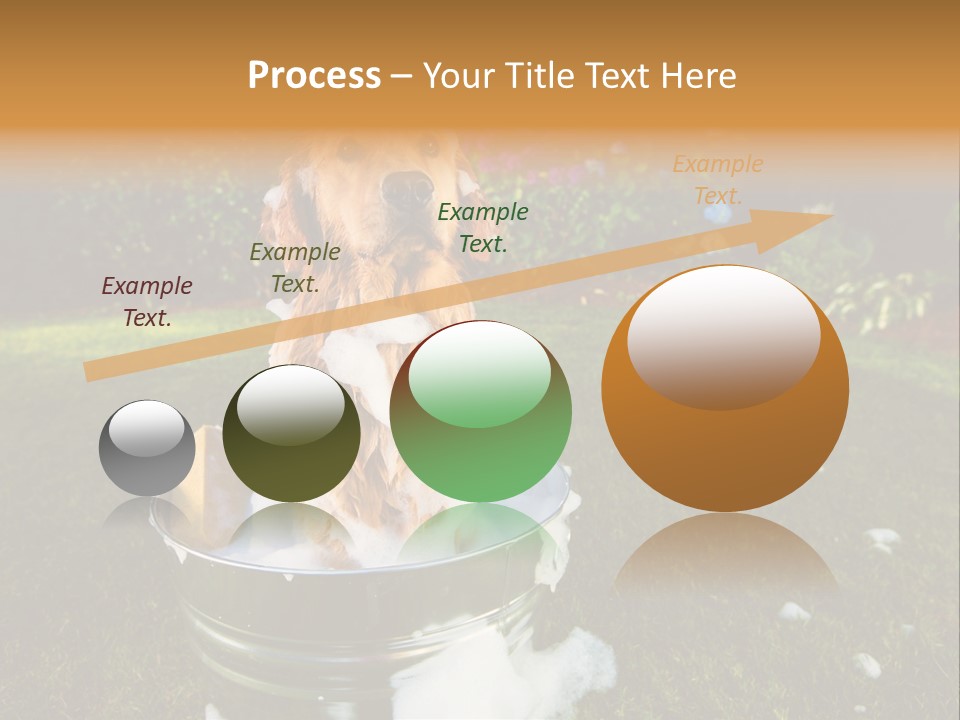 Metal Shower Bucket PowerPoint Template