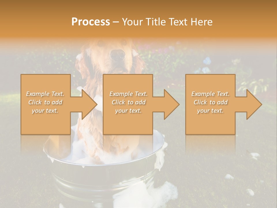 Metal Shower Bucket PowerPoint Template