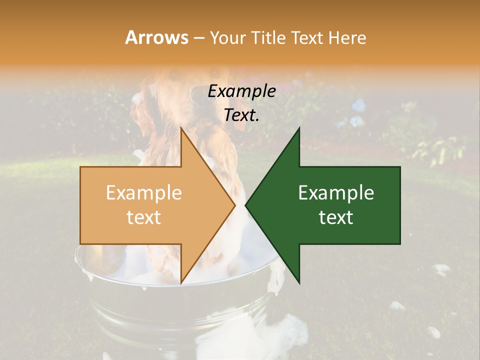 Metal Shower Bucket PowerPoint Template