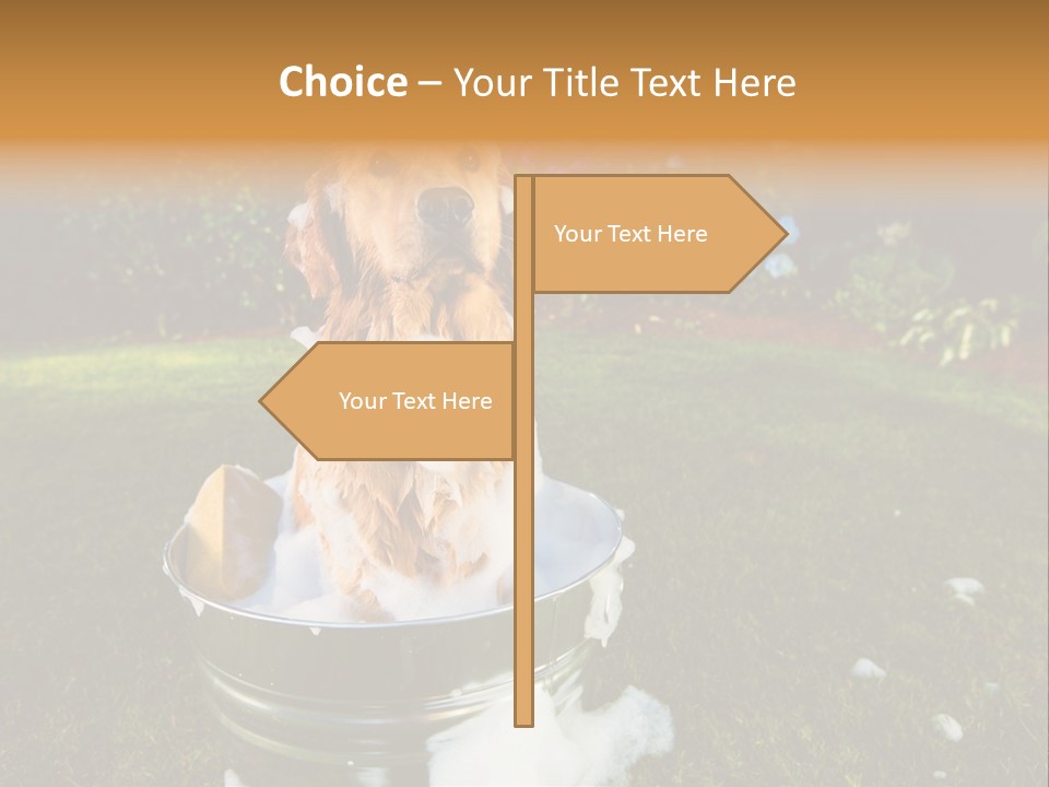 Metal Shower Bucket PowerPoint Template