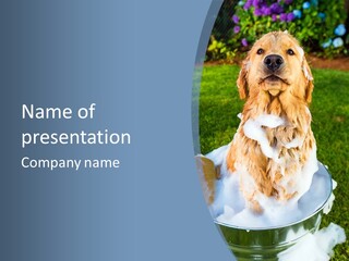 Clean Filthy Cute PowerPoint Template