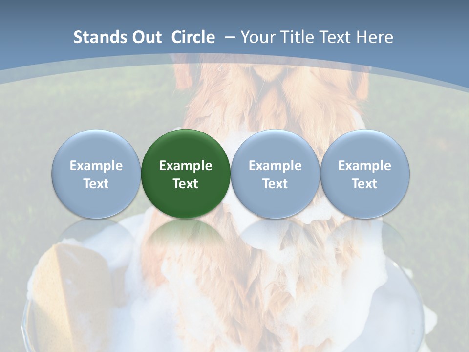 Clean Filthy Cute PowerPoint Template