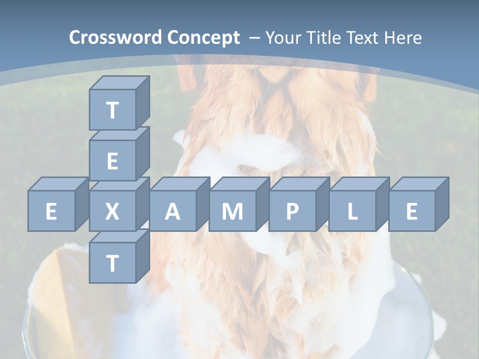 Clean Filthy Cute PowerPoint Template