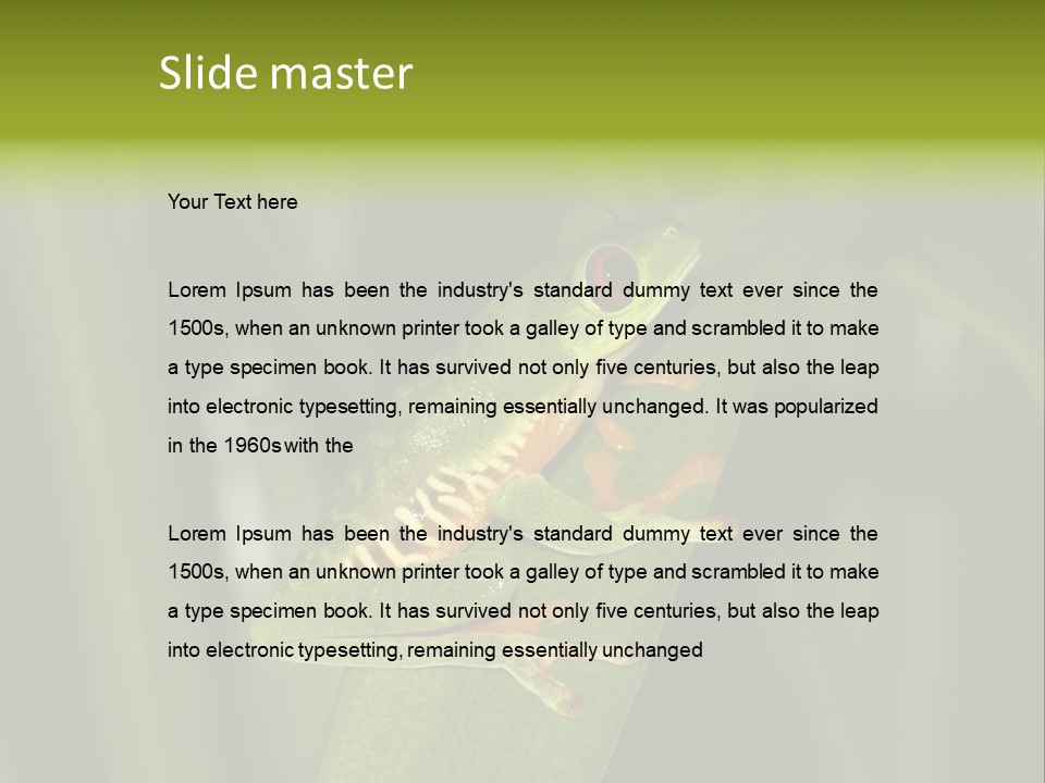 Panama Brown Agalychnis PowerPoint Template