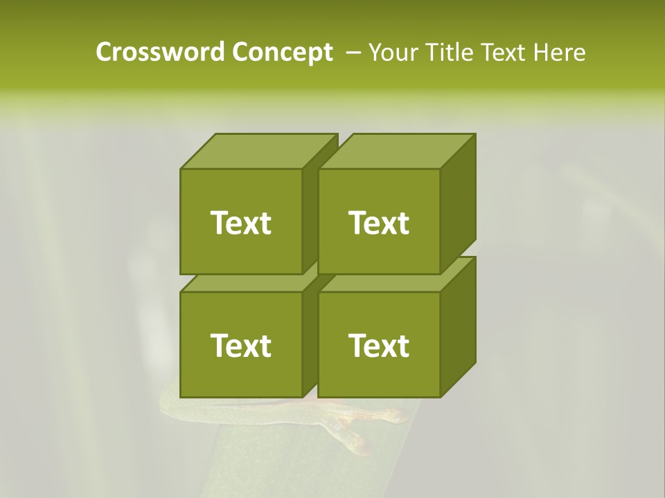 Panama Brown Agalychnis PowerPoint Template