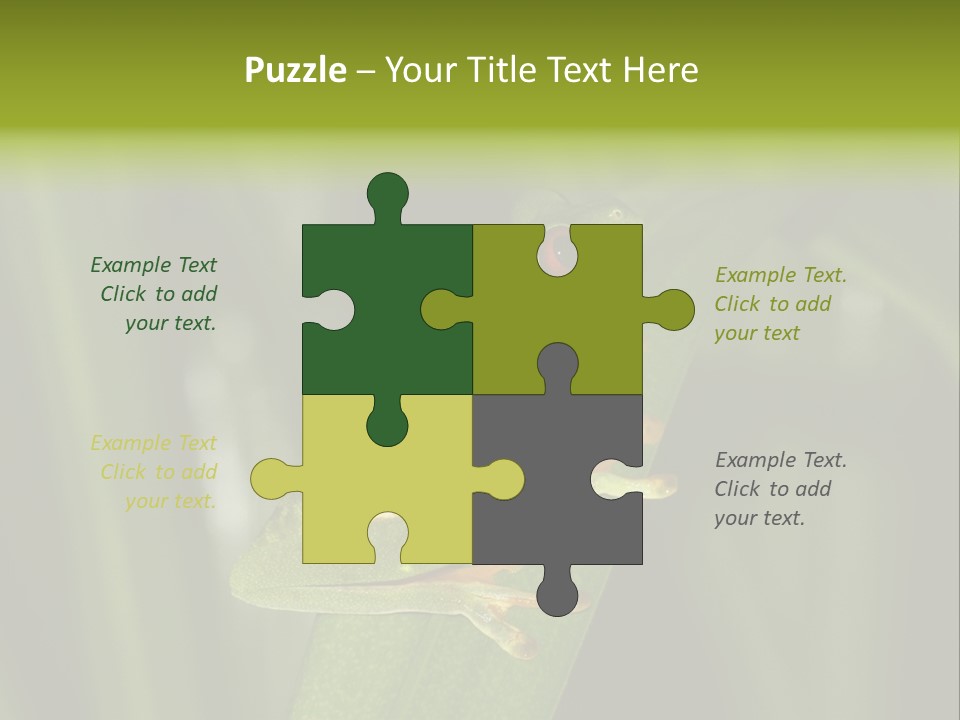 Panama Brown Agalychnis PowerPoint Template