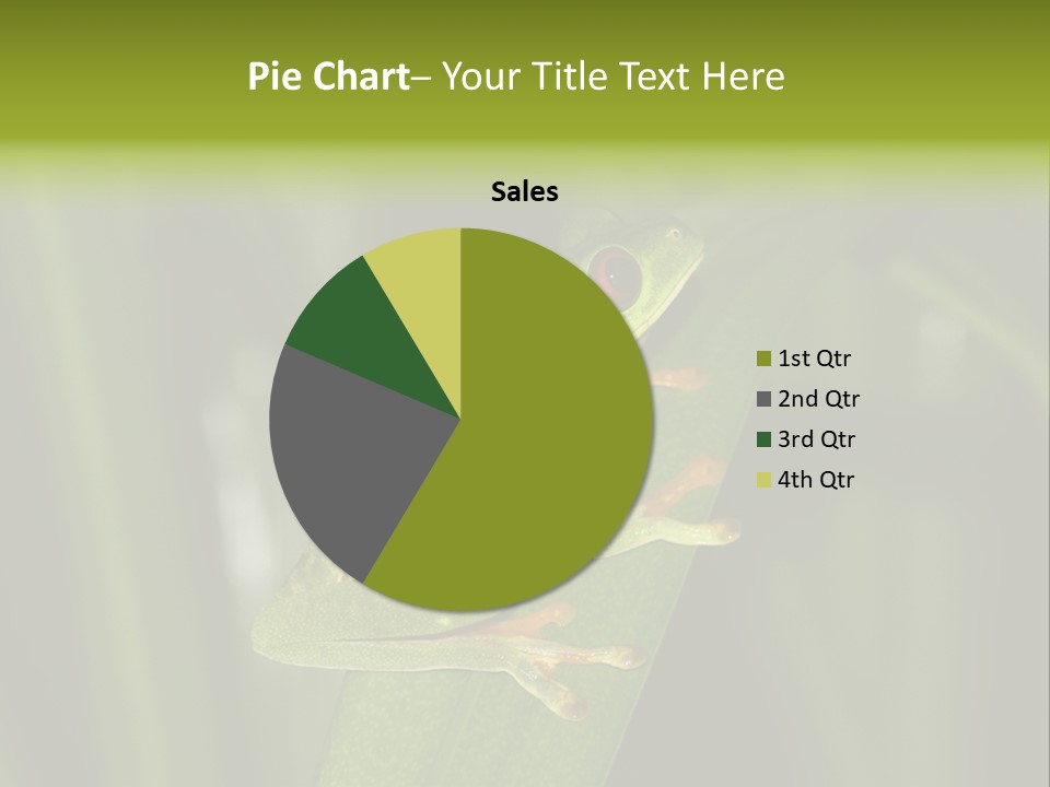 Panama Brown Agalychnis PowerPoint Template