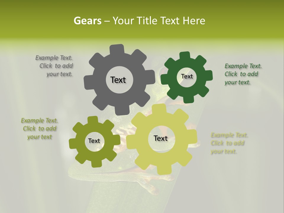 Panama Brown Agalychnis PowerPoint Template