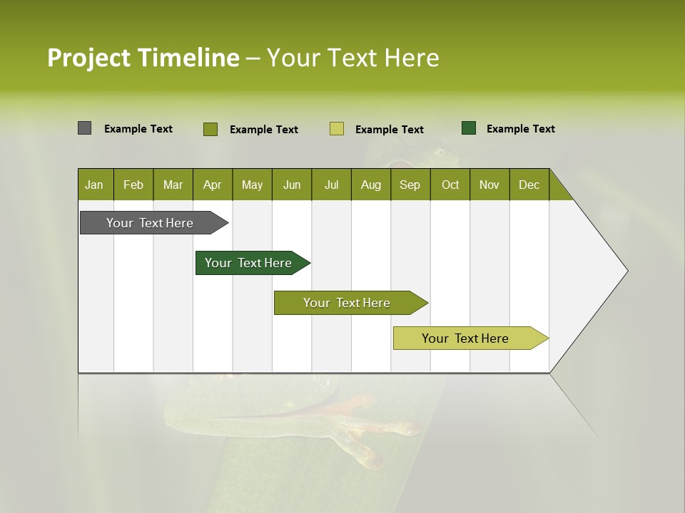 Panama Brown Agalychnis PowerPoint Template