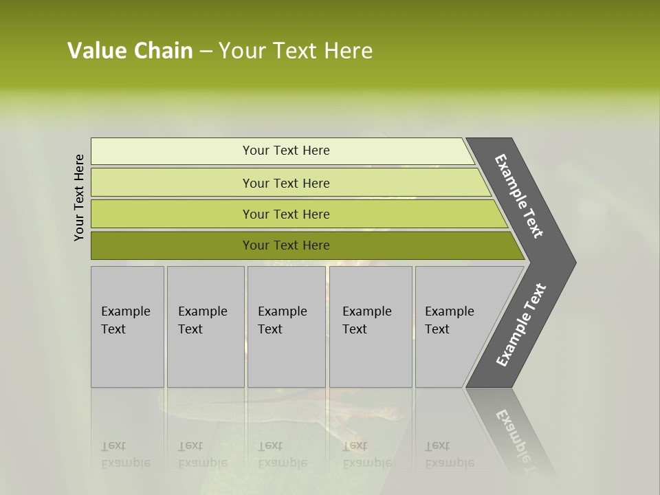 Panama Brown Agalychnis PowerPoint Template