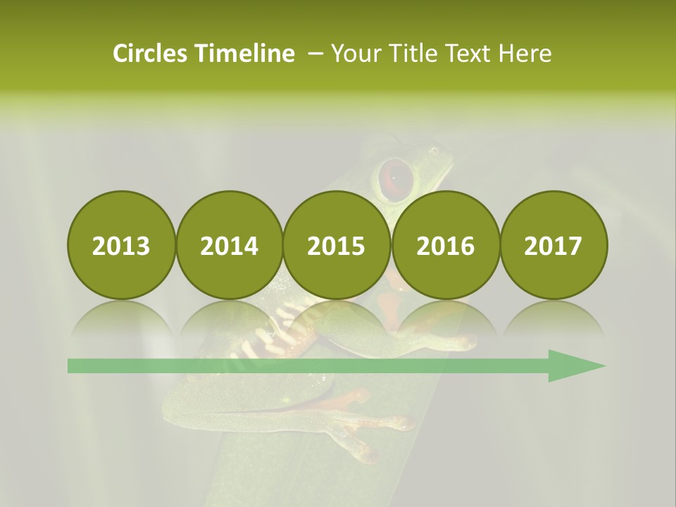 Panama Brown Agalychnis PowerPoint Template