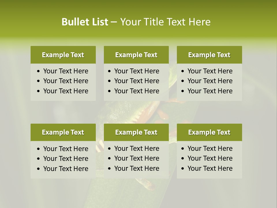 Panama Brown Agalychnis PowerPoint Template