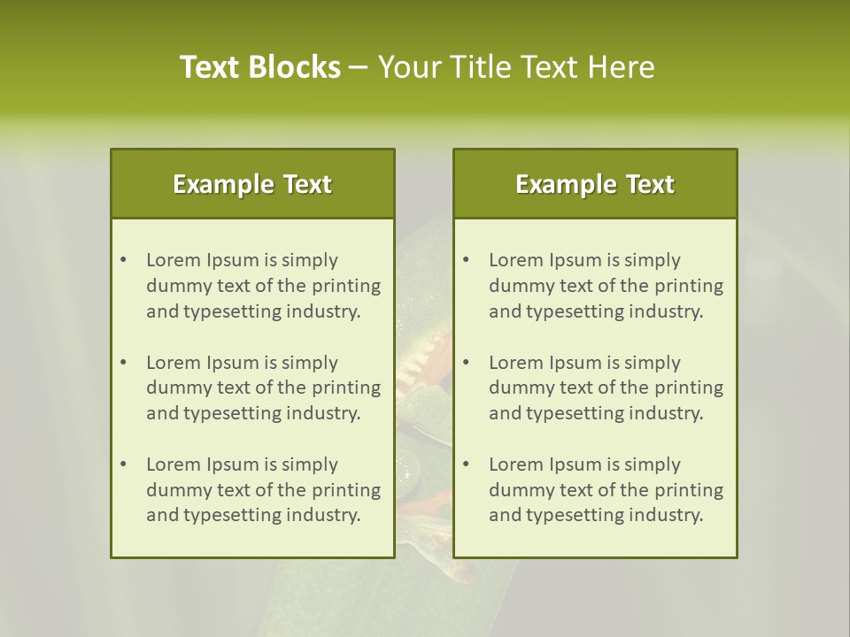 Panama Brown Agalychnis PowerPoint Template