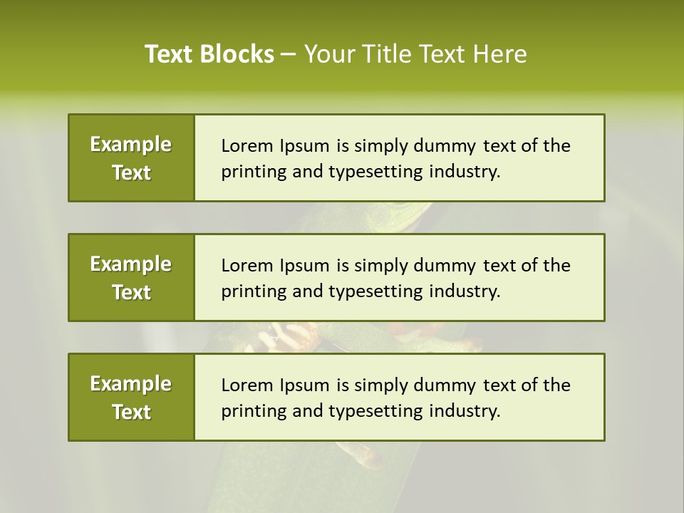 Panama Brown Agalychnis PowerPoint Template