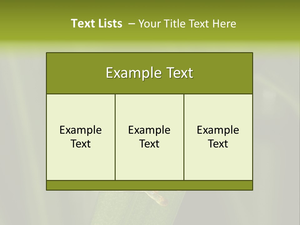 Panama Brown Agalychnis PowerPoint Template