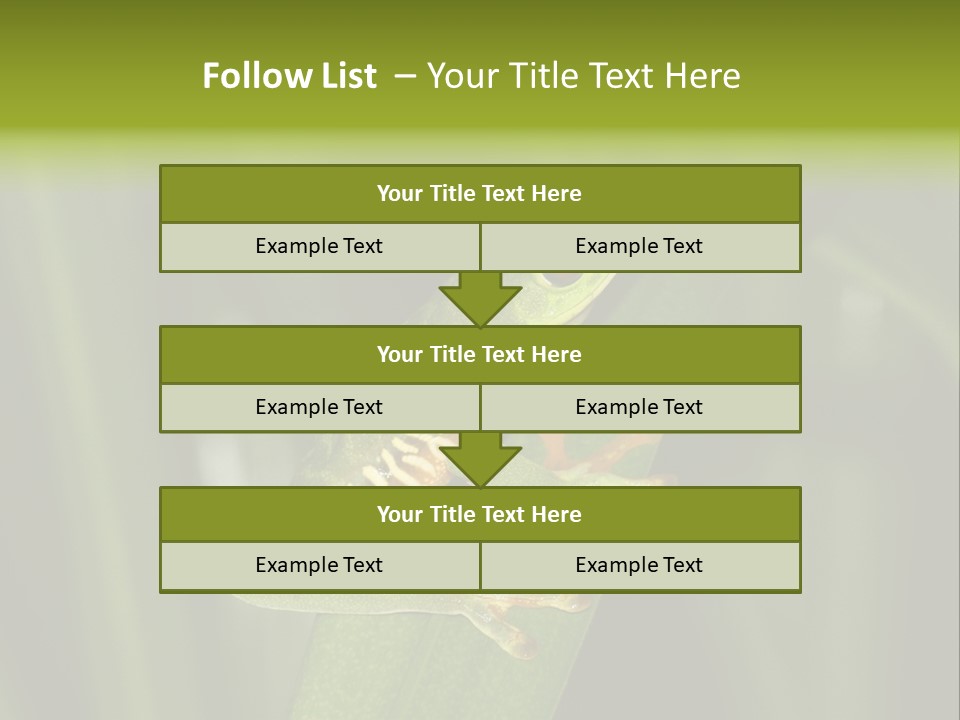 Panama Brown Agalychnis PowerPoint Template