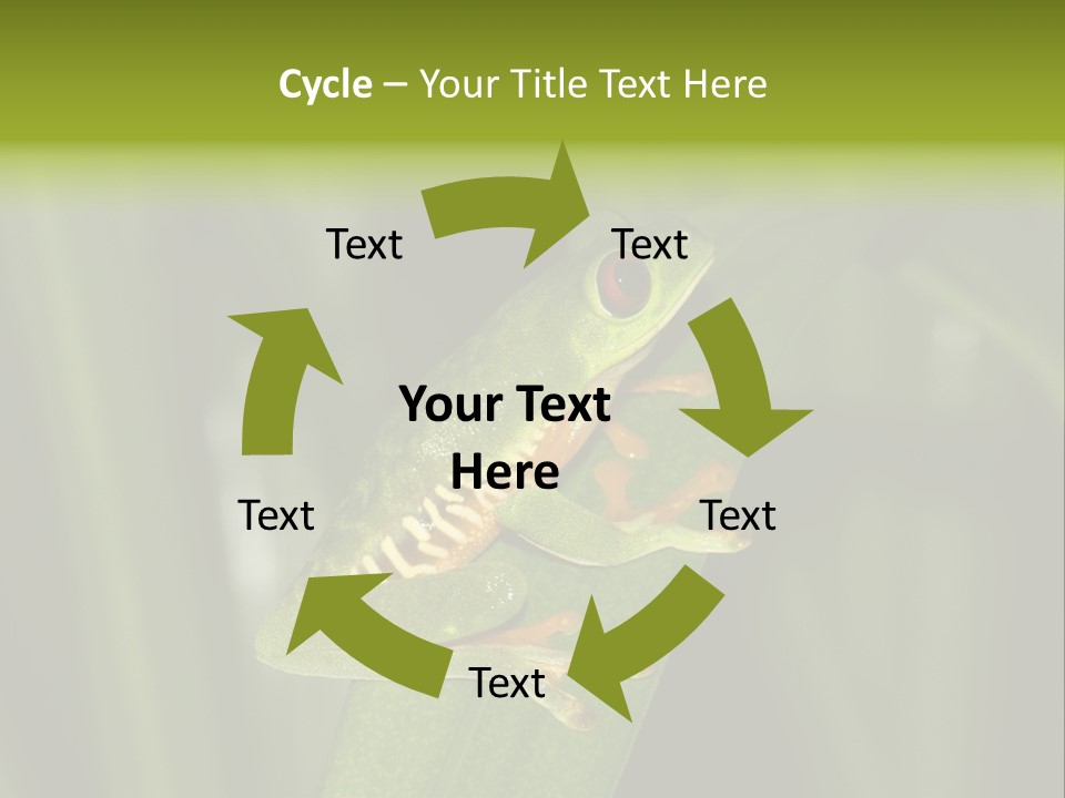 Panama Brown Agalychnis PowerPoint Template