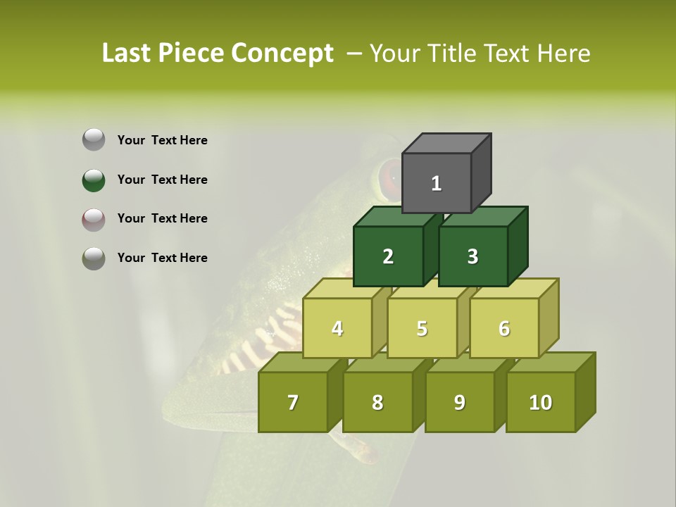 Panama Brown Agalychnis PowerPoint Template