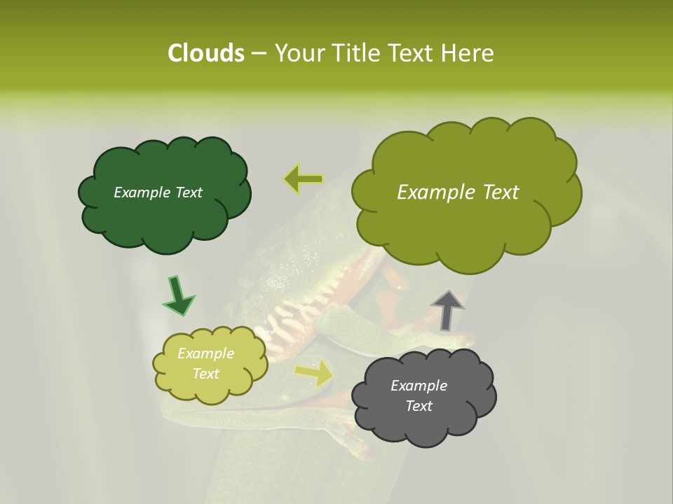 Panama Brown Agalychnis PowerPoint Template