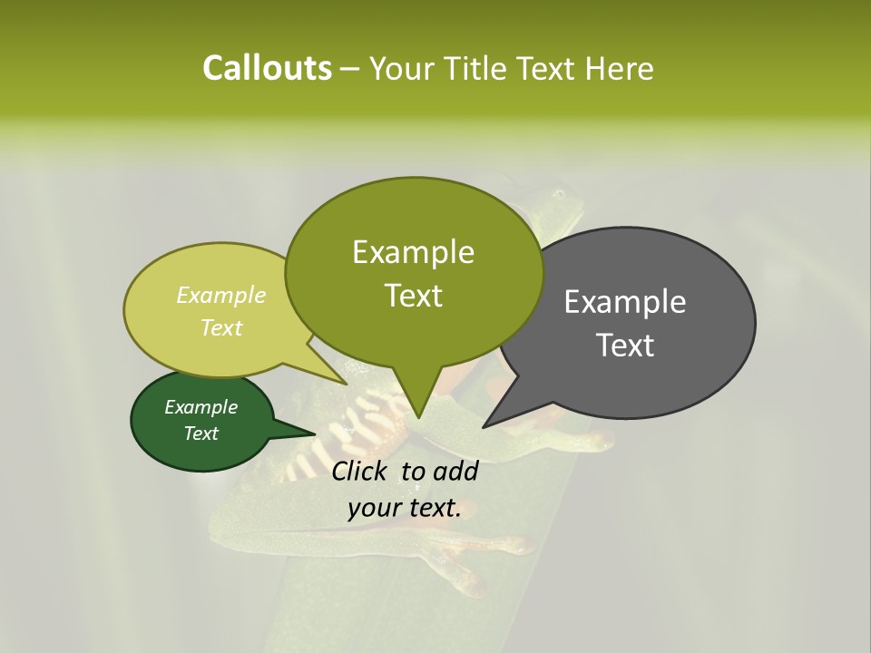 Panama Brown Agalychnis PowerPoint Template