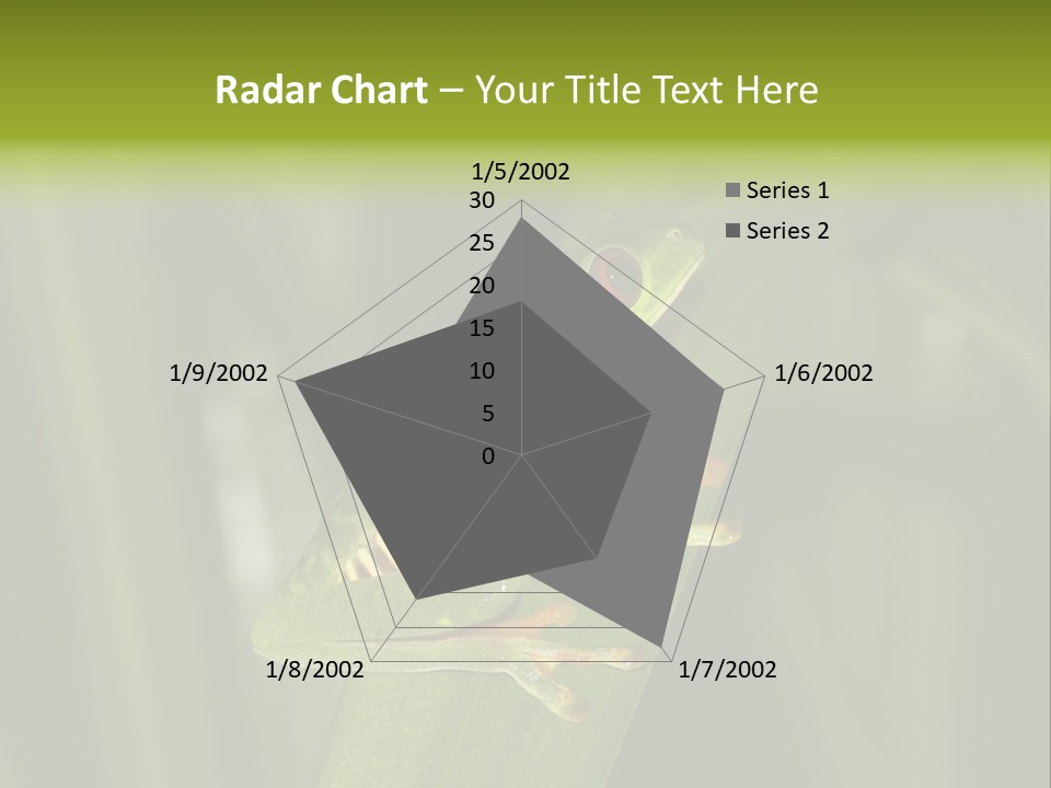 Panama Brown Agalychnis PowerPoint Template