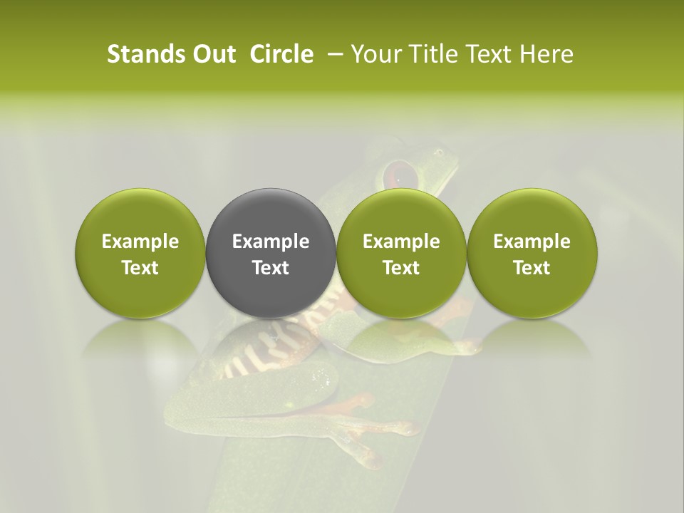 Panama Brown Agalychnis PowerPoint Template