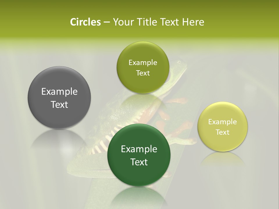 Panama Brown Agalychnis PowerPoint Template