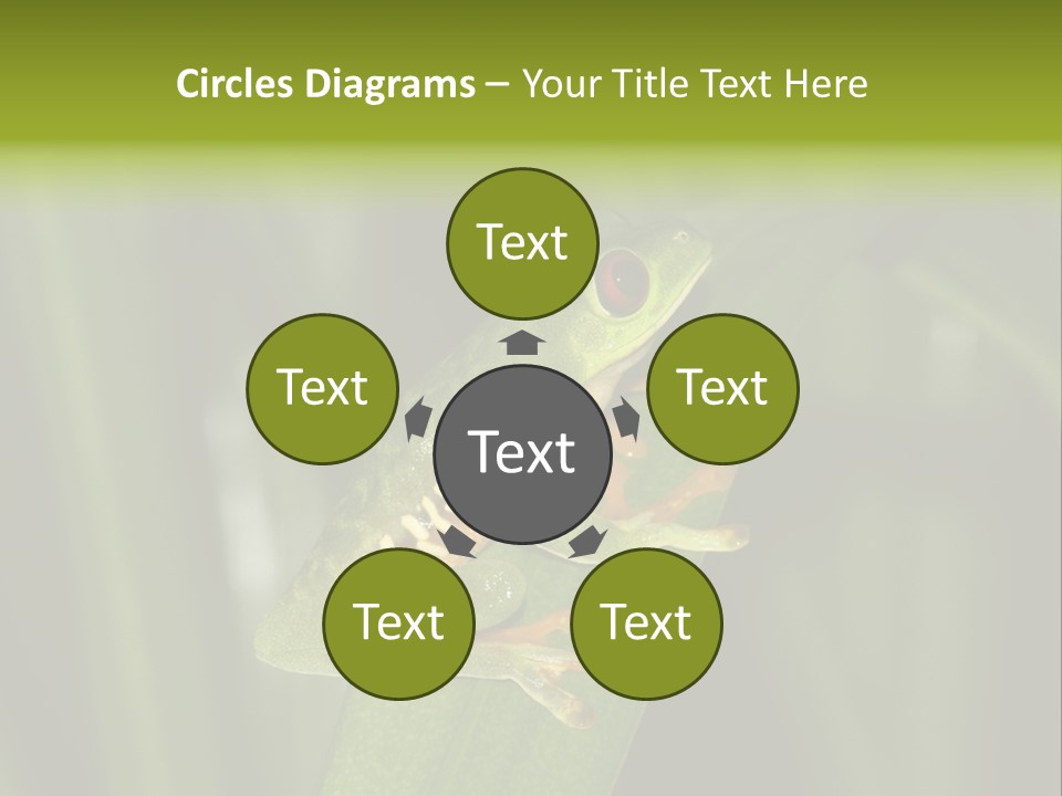 Panama Brown Agalychnis PowerPoint Template