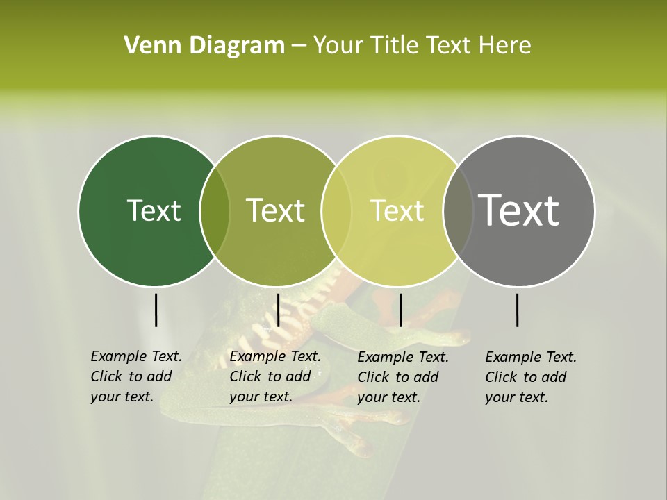 Panama Brown Agalychnis PowerPoint Template