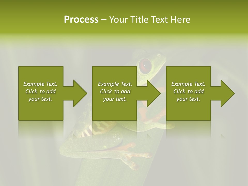 Panama Brown Agalychnis PowerPoint Template