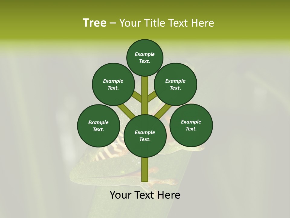 Panama Brown Agalychnis PowerPoint Template