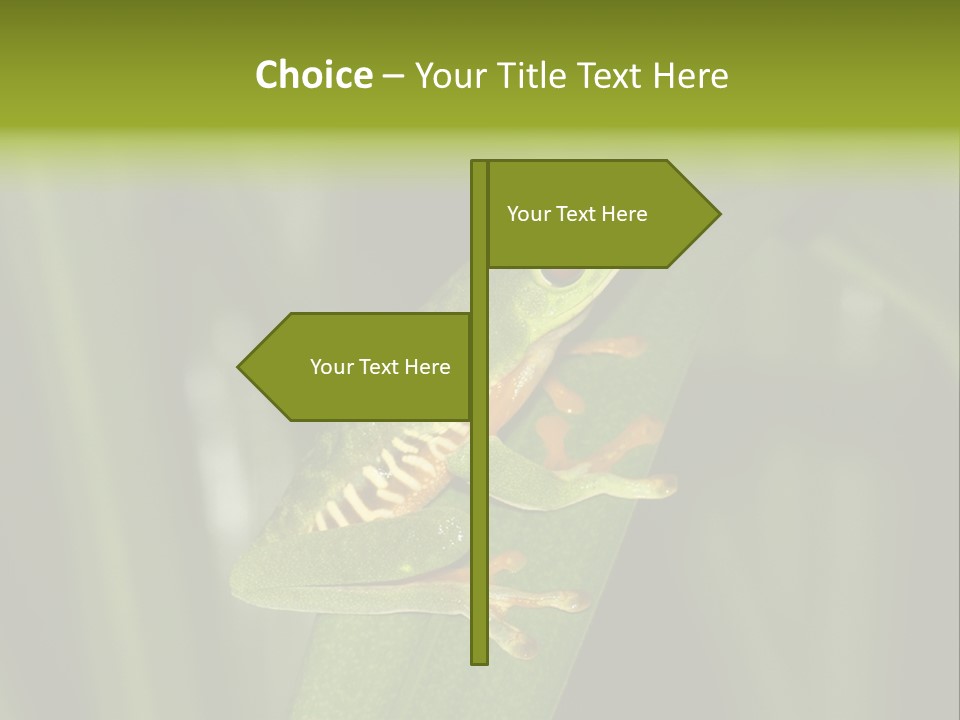 Panama Brown Agalychnis PowerPoint Template