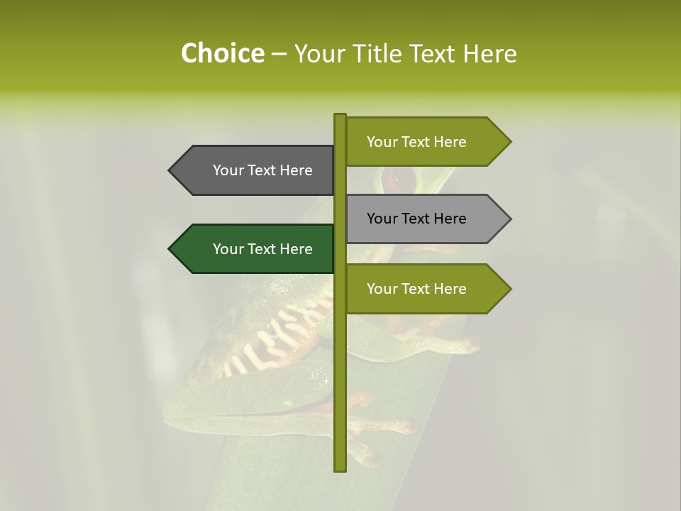 Panama Brown Agalychnis PowerPoint Template