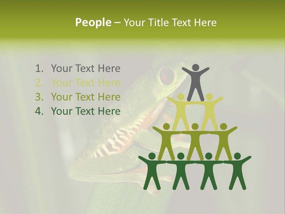 Panama Brown Agalychnis PowerPoint Template