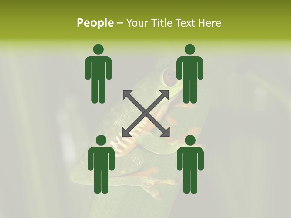 Panama Brown Agalychnis PowerPoint Template