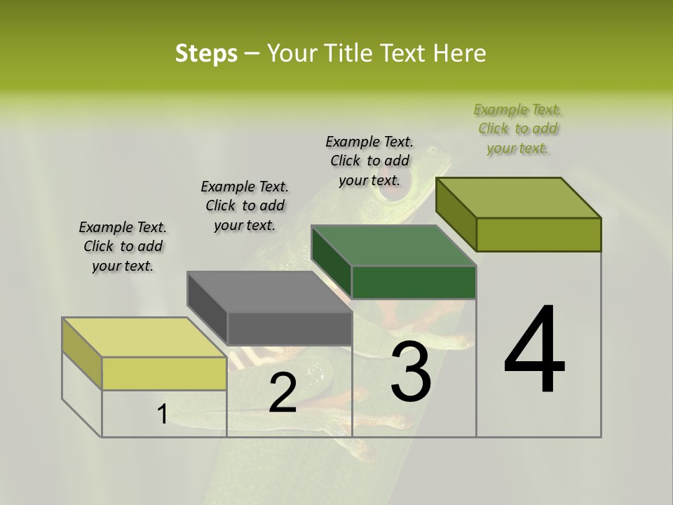 Panama Brown Agalychnis PowerPoint Template