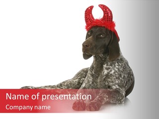 Halloween Studio Pointer PowerPoint Template