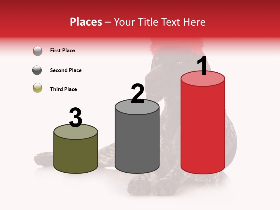 Halloween Studio Pointer PowerPoint Template